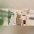 create funny viral cat dog animal pet videos compilation for youtube in 24 hrs