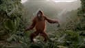 do funny monkey dancing animation with your music and text