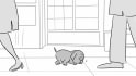 do storyboard and animatics for your projects