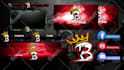 design animated twitch overlay, twitch logo, twitch stream package panels screen