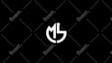 create a perfect custom logo animation for you