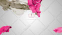 remove background,transparent image delivery