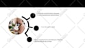 design presentation and pitch deck google slides powerpoint figma or canva