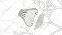 animate 2d creature loops