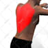 make 3d animations for body exercise