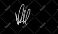 design a handwritten signature with a video tutorial for you