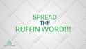 do text animation,  lower thirds, title intro, kinetic typography