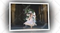 create wedding photo slideshow, promo video within 6 hr