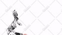 do a speed drawing animation video of your logo or any image