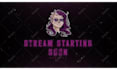 do unique animated twitch overlay stream package