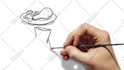 make whiteboard animation explainer video