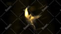 make Phoenix to BURNOUT and reveal your logo in full hd