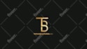 edit intro logo animation after effects template from videohive