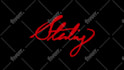 create a stunning signature logo animation