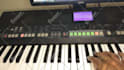 teach Indian flute or harmonium lesson
