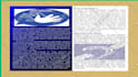 provide sign language interpretation services for anything