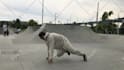 create a powerful breakdance video to promote your music