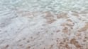 write your message creatively on a beach as  video or photo