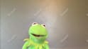 record a video message as kermit the frog