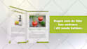 create a Professional and Effective Book Promo Video