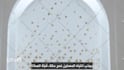 provide premium english to arabic translation, translate arabic to englis