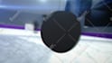 create awesome hockey logo intro or animation