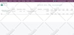 customise odoo based on your business needs