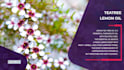create any beautiful slideshows video adobe after effect