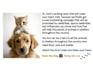 make a happy birthday dog or cat singing video