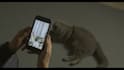 do 3d camera and motion tracking and put 3d or 2d graphics