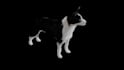 do modeling and animation in blender