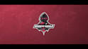 create a professional gaming trailer or montage or intro