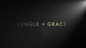 make a gold glitter logo animation intro with free subscribe reminders