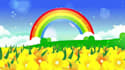 do video and audio editing in  premiere, after effects, filmora,  audition,