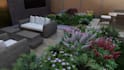 create stunning 3d garden landscape designs renderings