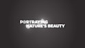 create a professional 2d logo animation