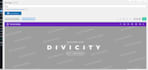 develop a professional divi website with a custom divi theme