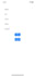 do ios app development or be your ios developer