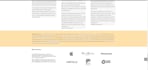develop a professional divi website with a custom divi theme