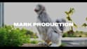 make eye catching promotional videos for your brands