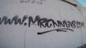 make a real graffiti video with your logo or image