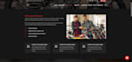 develop a professional divi website with a custom divi theme