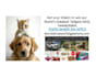 make a happy birthday dog or cat singing video