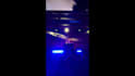 do professional wedding and event video editing