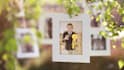 do wedding, anniversary, birthday slide shows