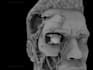split or slice your stl or 3d model for 3d printing