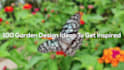create birthday, christmas, wedding slideshow videos