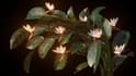 do custom visual effects, vfx, 3d modeling