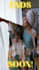 create a video advert for your product or service