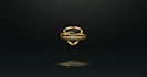 create gold fantastic car opener intro logo